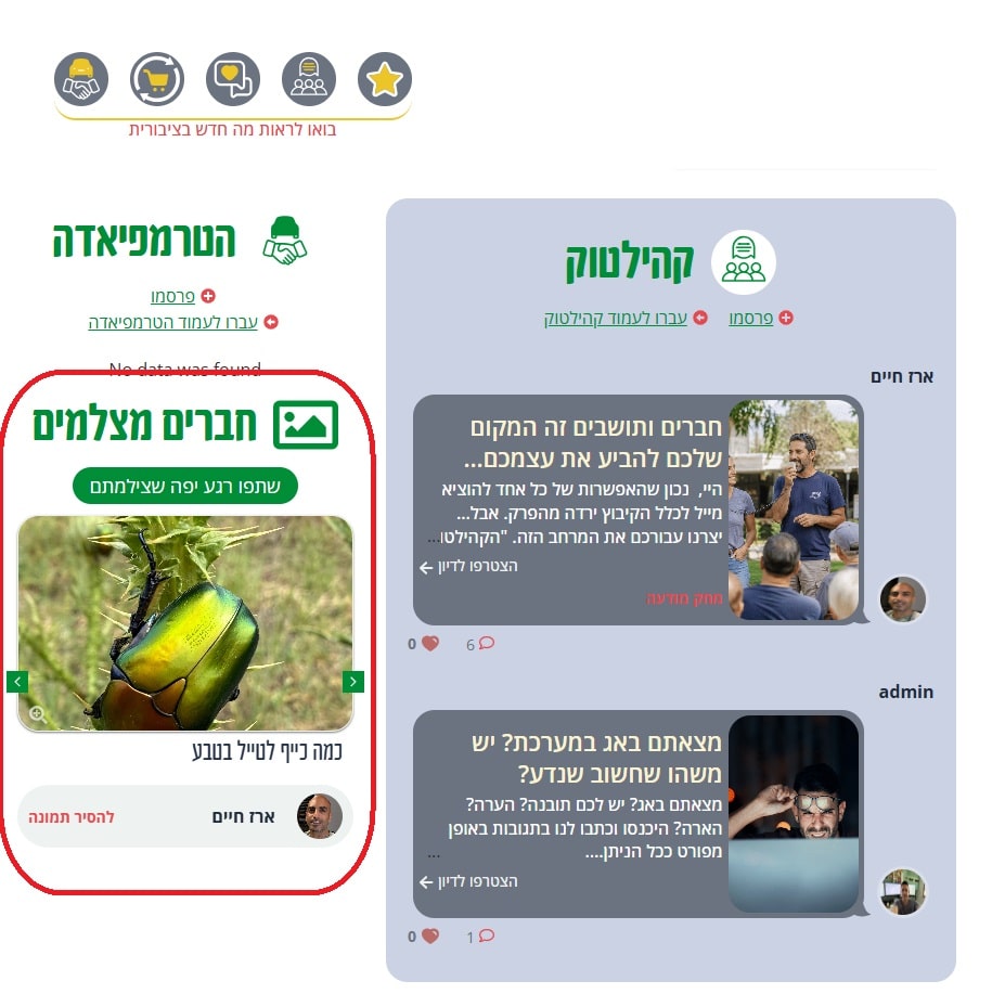 תמונה של הציבורית