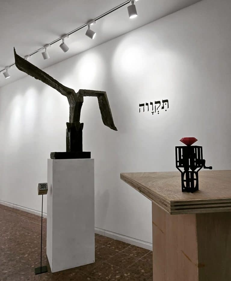 שיח גלרויה תקווה